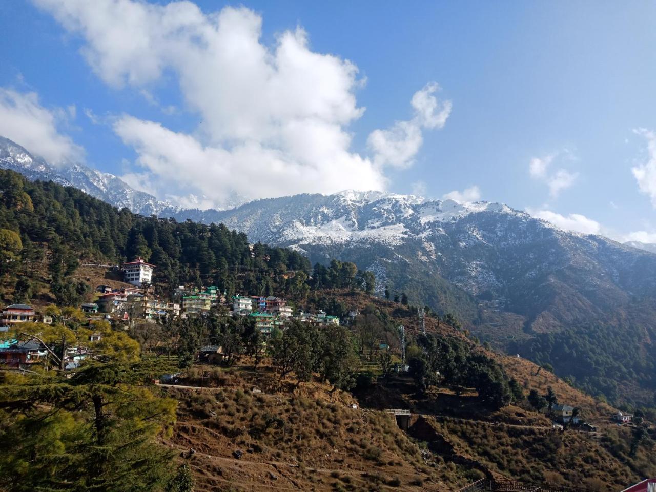 Hotel Pine Spring Dharamshala Bagian luar foto