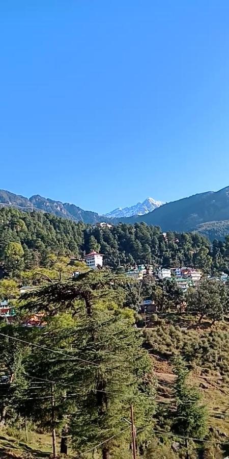 Hotel Pine Spring Dharamshala Bagian luar foto